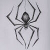 theitsyspider